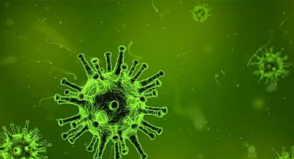 Foto Senatul Franţei aprobă lansarea unei anchete privind gestionarea crizei coronavirusului