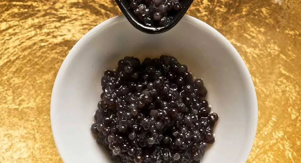 Foto Mehedințenii, „campioni” la traficul de caviar
