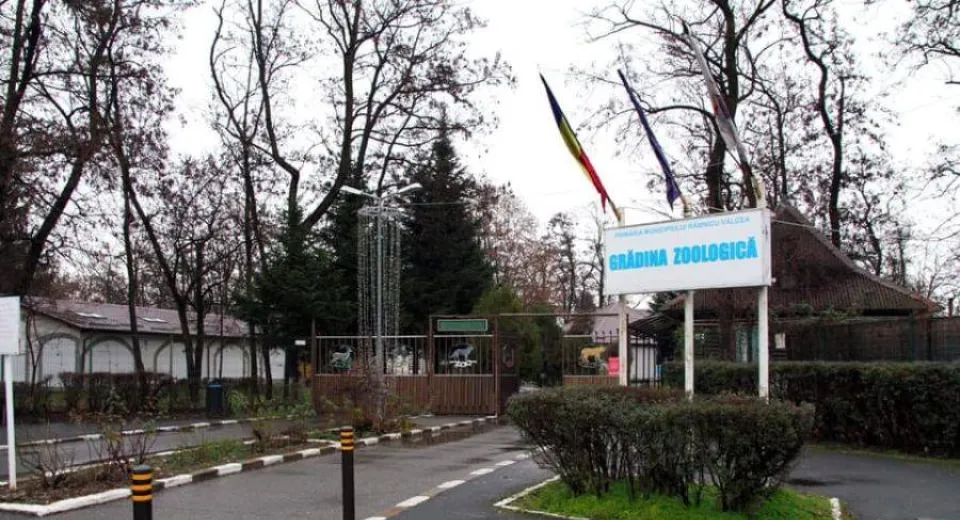 Foto Râmnicu Vâlcea: Măsuri de protejare a animalelor de la grădina zoologică împotriva temperaturilor scăzute